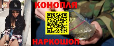 стаф Нальчик