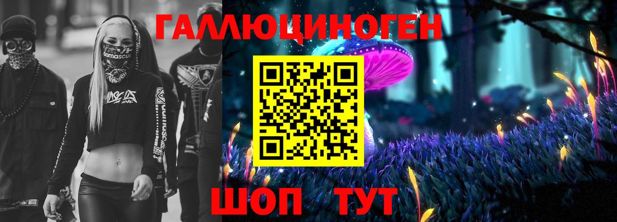 Псилоцибиновые грибы Cubensis  дарнет шоп  Тулун  Вход с VPN  Галлюциногенные грибы MAGIC MUSHROOMS 