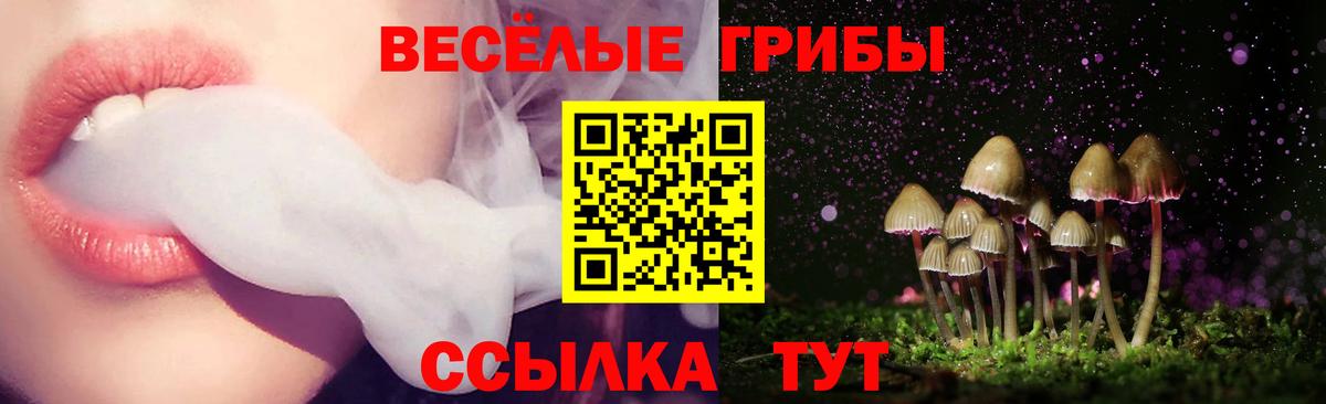 Галлюциногенные грибы Magic Shrooms Тулун